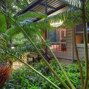 Chambers Wildlife Rainforest , Lake Eacham Australia