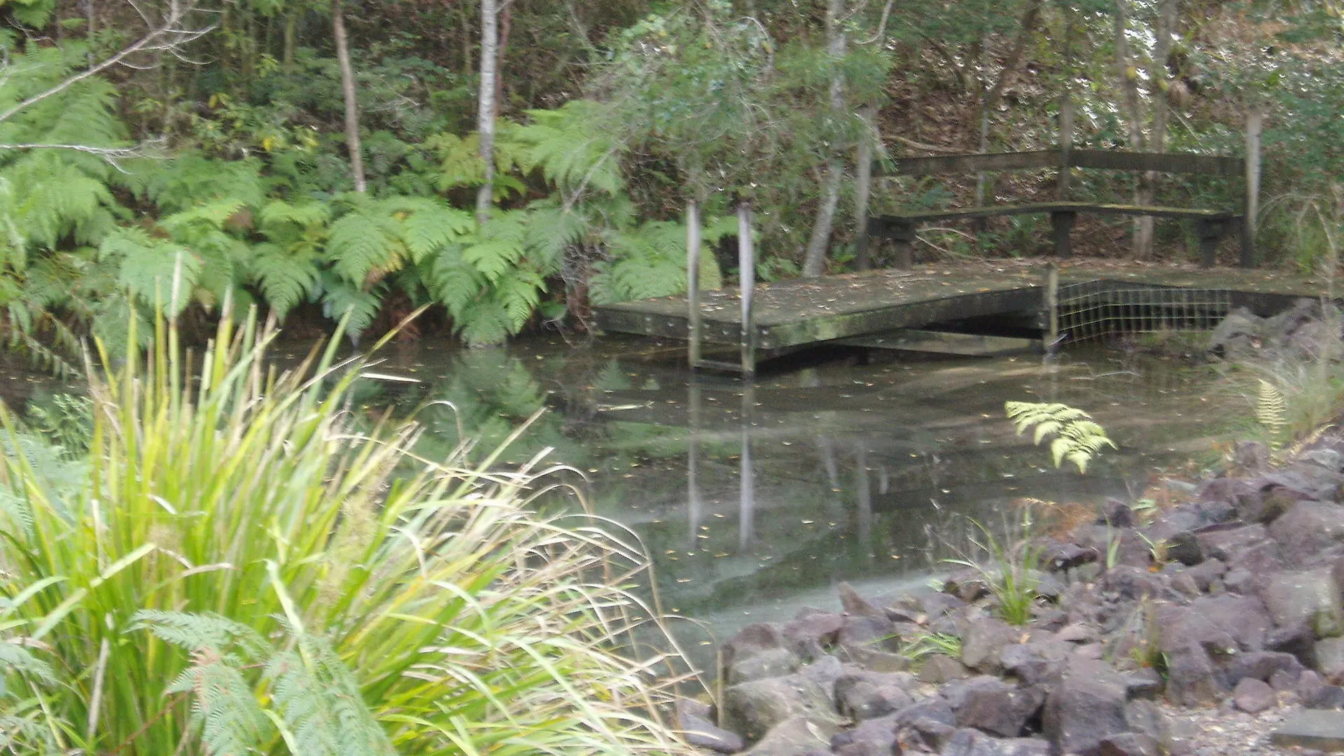 Montville Ocean View Cottages Australia